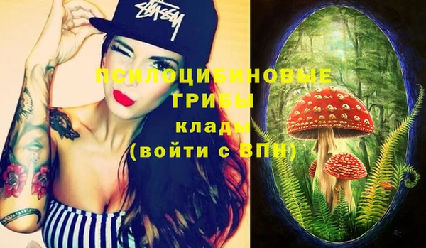 PSILOCYBIN Аркадак