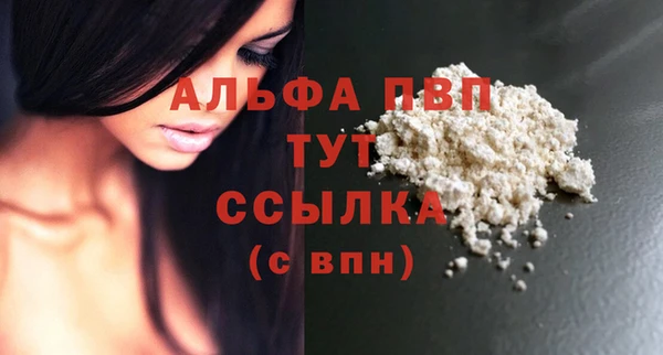 PSILOCYBIN Аркадак