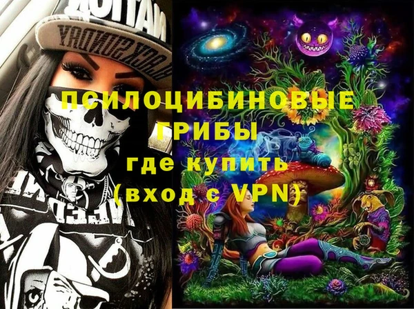 PSILOCYBIN Аркадак