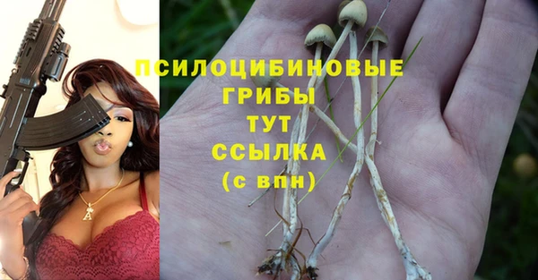 дмт Арсеньев