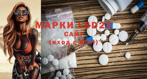 PSILOCYBIN Аркадак
