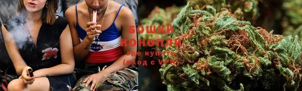 PSILOCYBIN Аркадак
