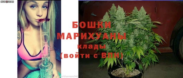 дмт Арсеньев