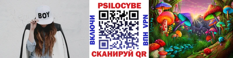 Галлюциногенные грибы Psilocybine cubensis Сосновоборск